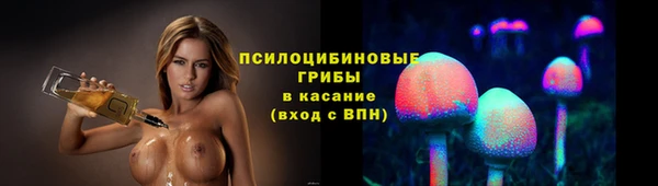 мяу мяу мука Вяземский