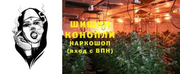 мяу мяу мука Вяземский