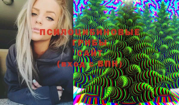 прущая мука Вязники