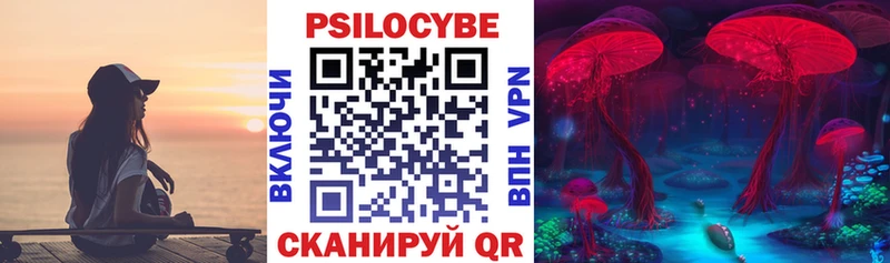 Купить закладки  Данилов  Галлюциногенные грибы мухоморы 